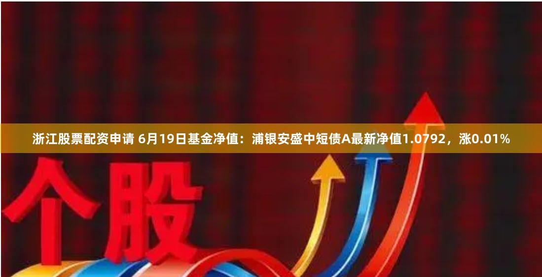 浙江股票配资申请 6月19日基金净值：浦银安盛中短债A最新净值1.0792，涨0.01%