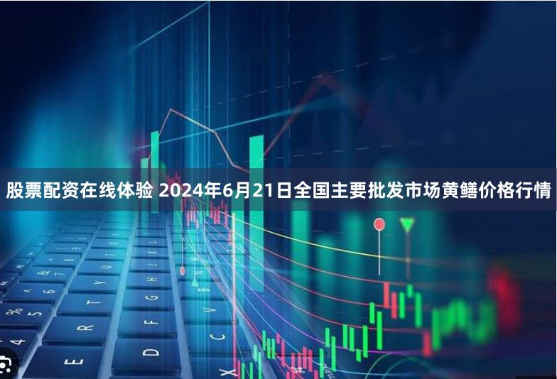 股票配资在线体验 2024年6月21日全国主要批发市场黄鳝价格行情