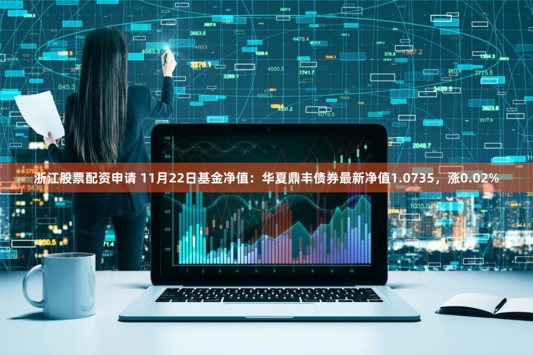 浙江股票配资申请 11月22日基金净值：华夏鼎丰债券最新净值1.0735，涨0.02%