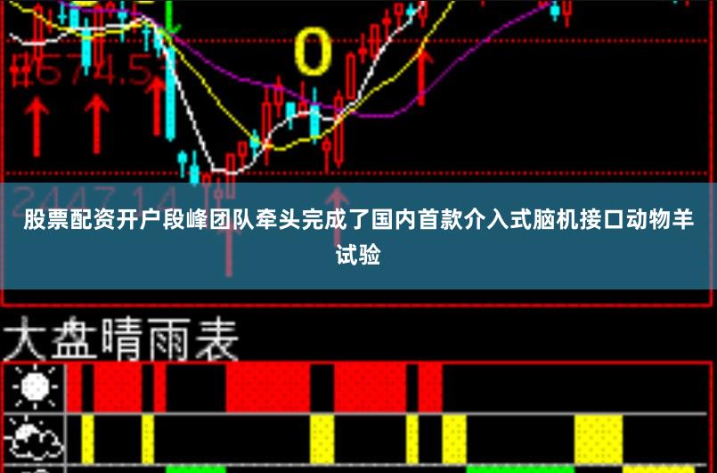 股票配资开户段峰团队牵头完成了国内首款介入式脑机接口动物羊试验