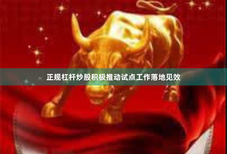 正规杠杆炒股积极推动试点工作落地见效