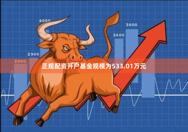 正规配资开户基金规模为533.01万元