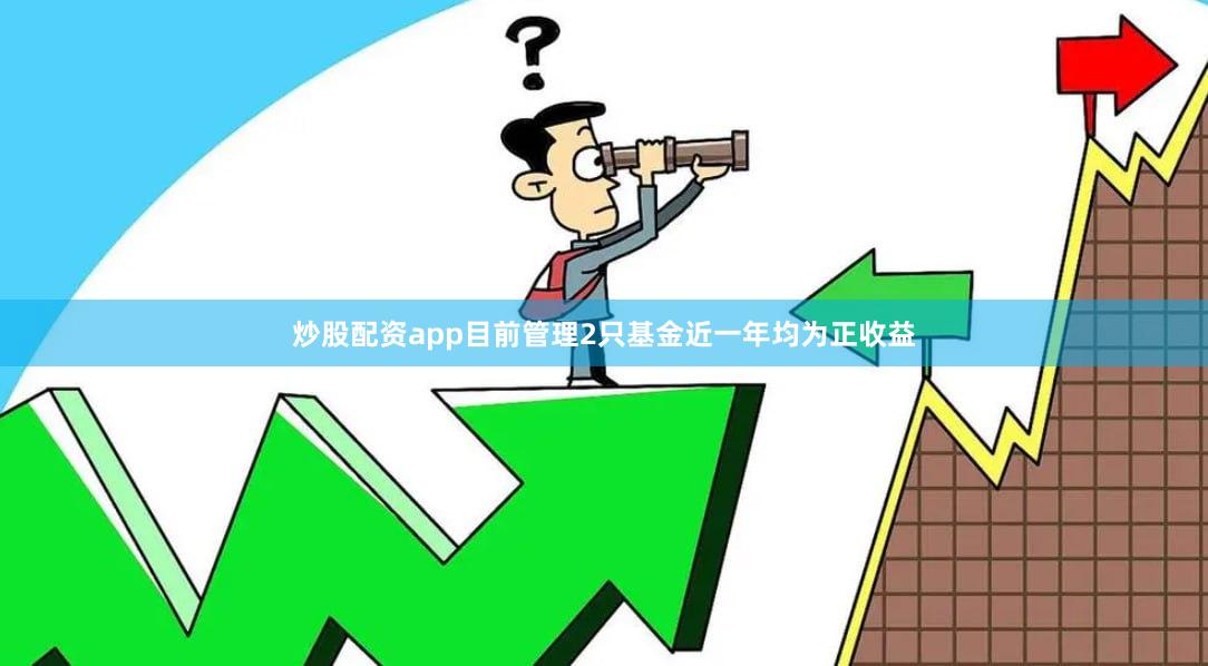炒股配资app目前管理2只基金近一年均为正收益